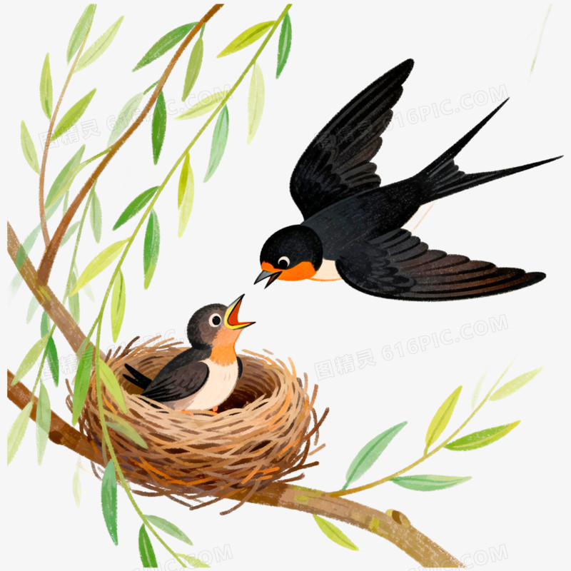 手绘插画动物燕子亲子免抠元素
