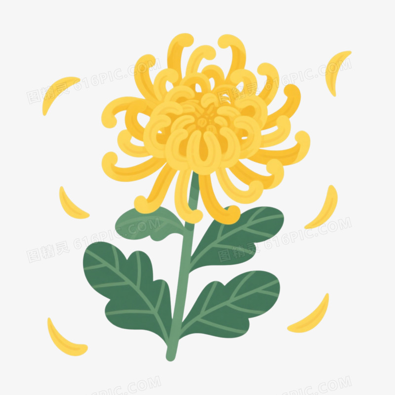 黄色菊花扁平插画元素