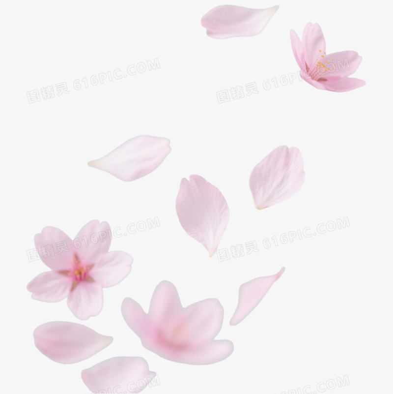 粉色樱花花瓣漂浮元素