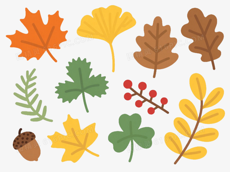 秋日植物扁平插画元素