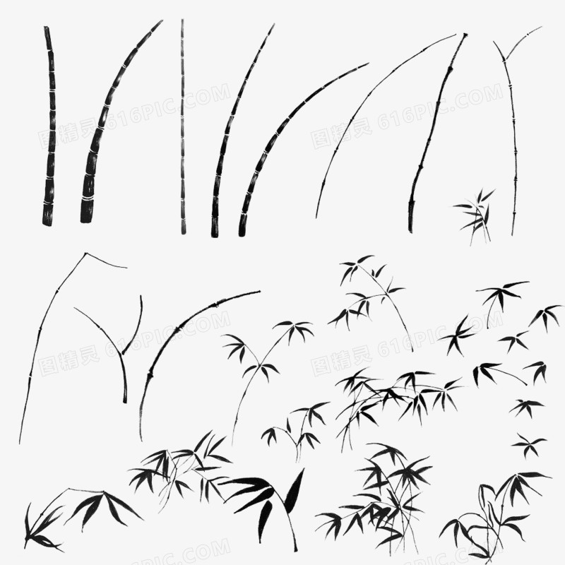 手绘竹子图片竹子素描 卡通手绘竹子枝条