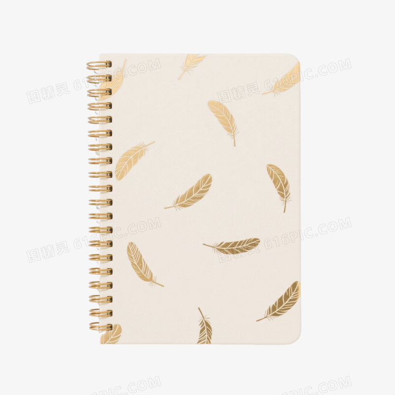 米白金羽螺旋笔记本产品实物元素