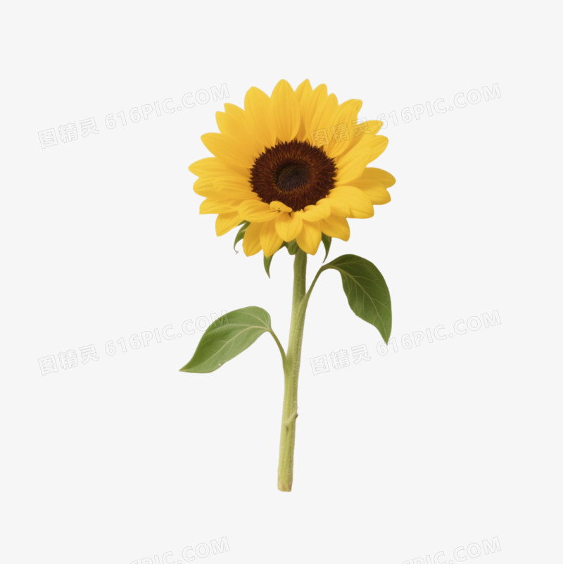 泛黄笔记本插向日葵装饰图案