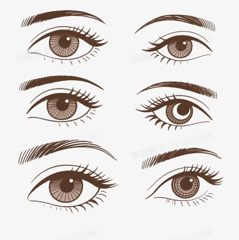 棕色线稿眼睛眉毛卡通手绘元素