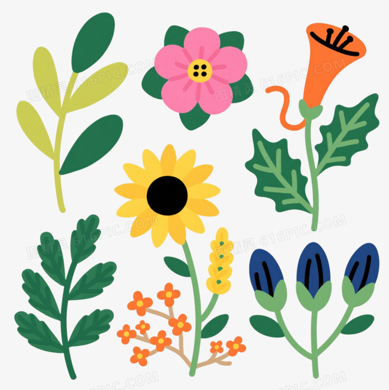 手绘植物扁平插画元素