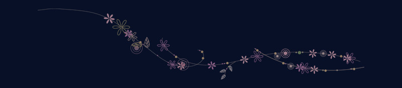 花瓣