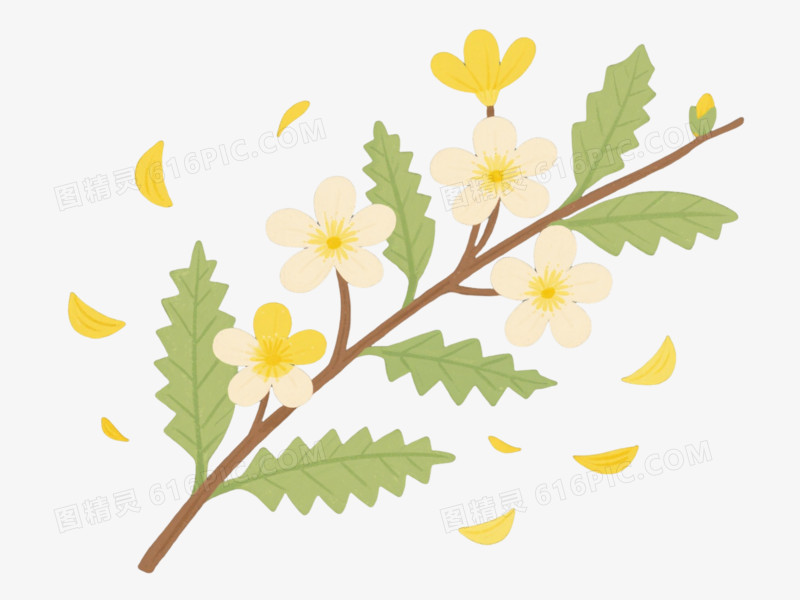 黄米白五瓣花枝卡通手绘元素