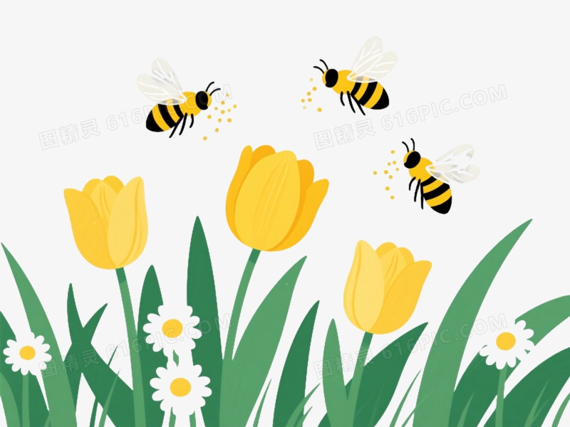 黄郁金香雏菊扁平插画元素