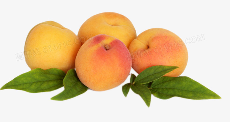 水果黄杏素材