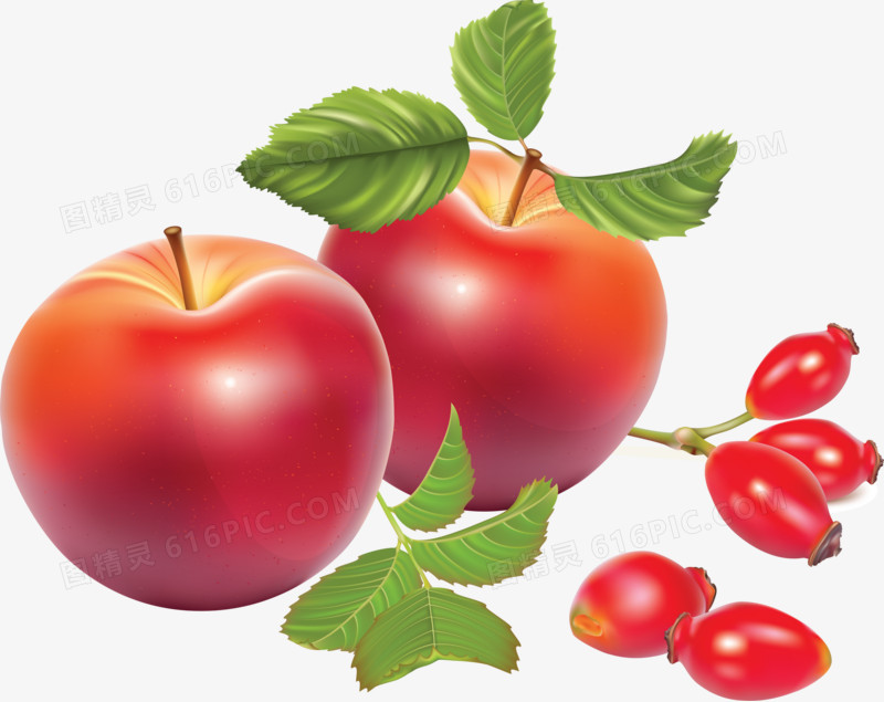 3D图片手绘食物 苹果