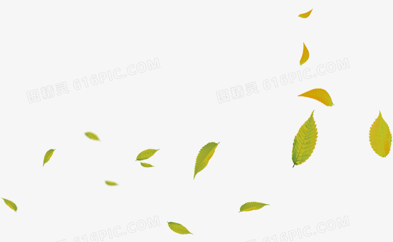 黄色树叶漂浮