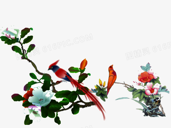 花卉