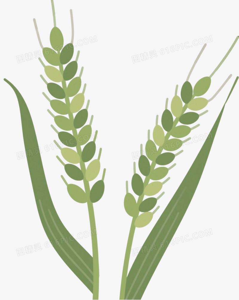 绿色麦穗简约扁平插画元素