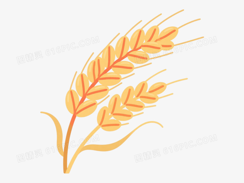 金色麦穗扁平矢量插画元素