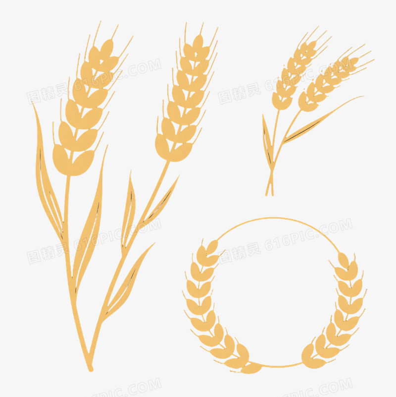 金色麦穗简约线描装饰图案