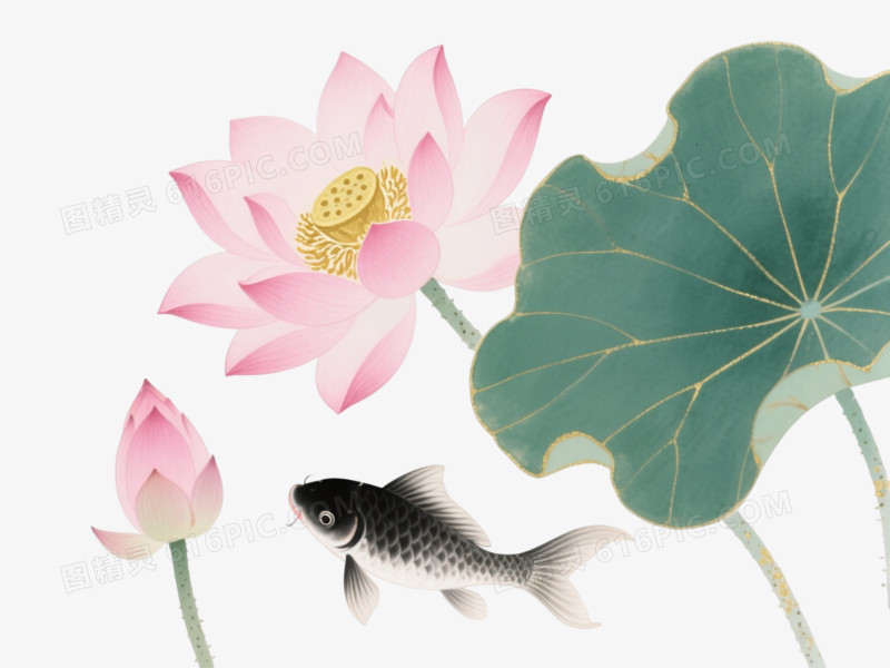 粉莲金蓬水墨晕染装饰图案