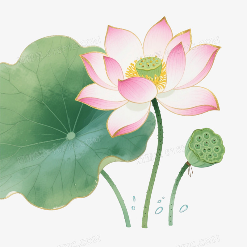 粉金莲花水墨晕染装饰图案