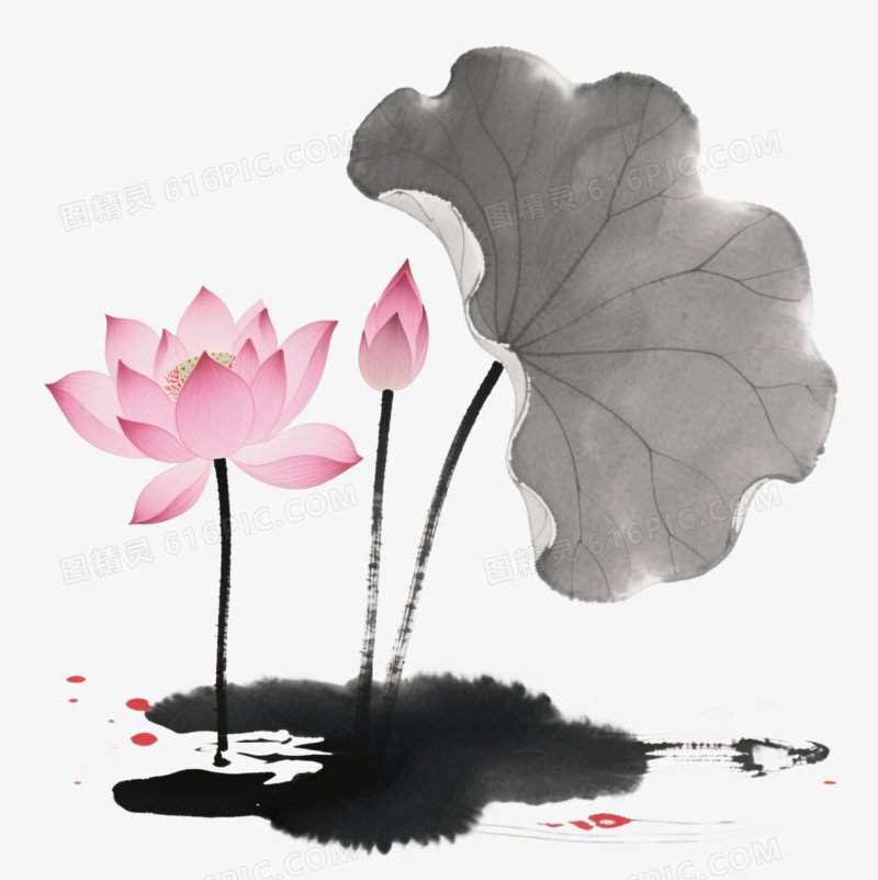 水墨粉莲荷叶装饰图案