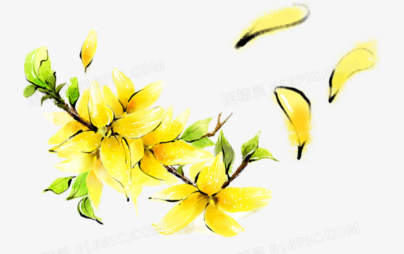 花卉