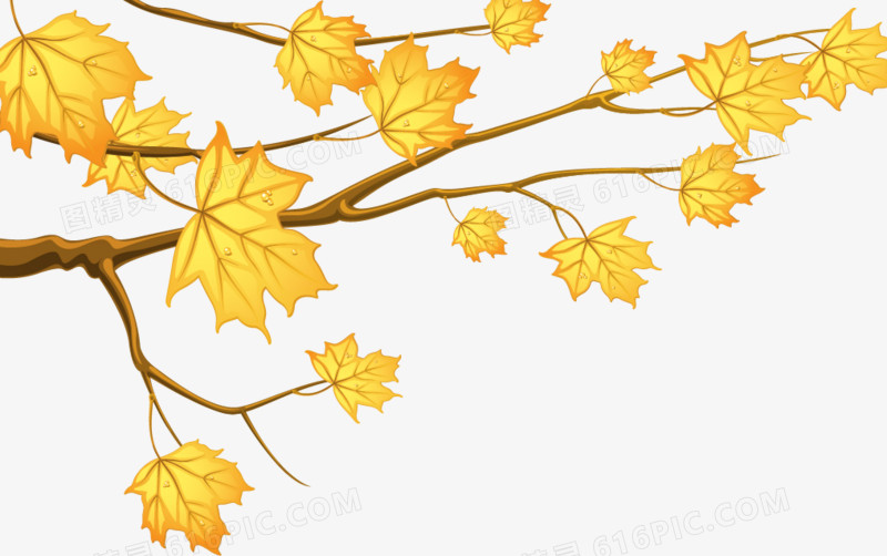卡通秋天黄色叶子树枝