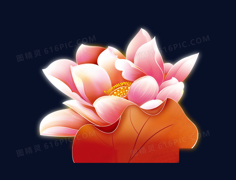 花开富贵牡丹