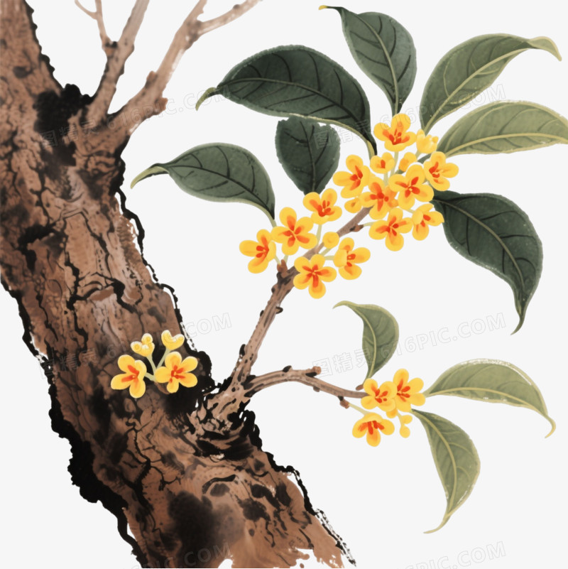 水墨桂花枝条装饰图案