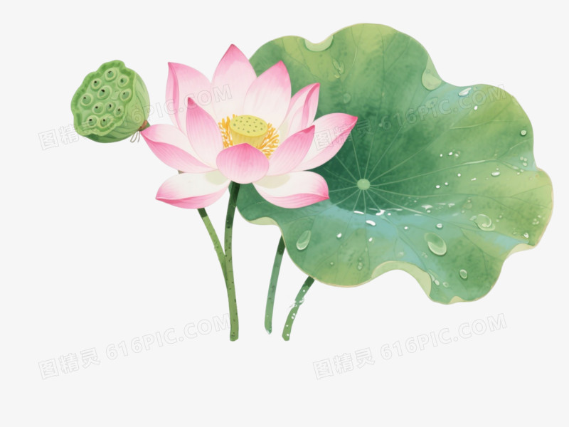 粉莲锦鲤水墨水彩漂浮元素