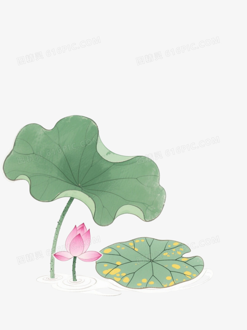 绿色回纹荷叶荷花边框纹理
