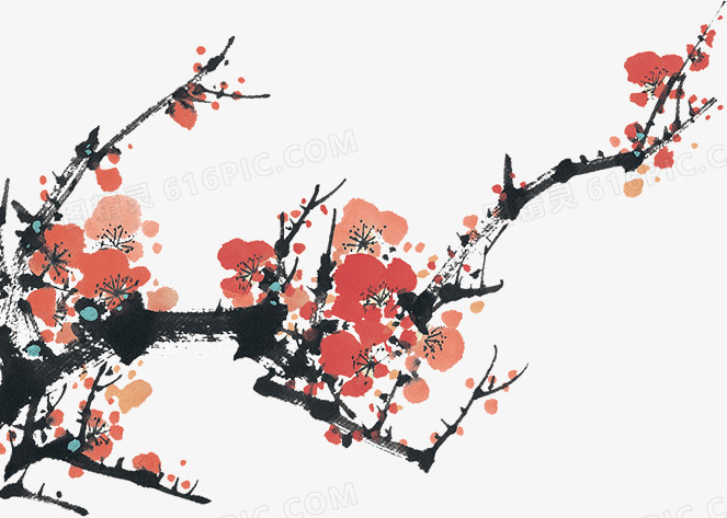 开满鲜花的梅花树