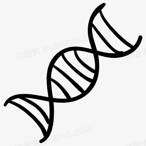 DNA