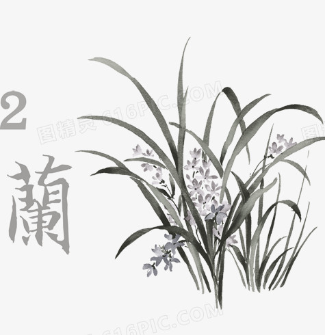 传统水墨兰花