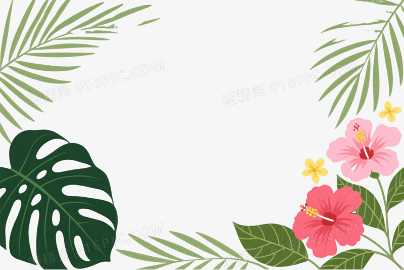 热带植物手绘插画边框纹理