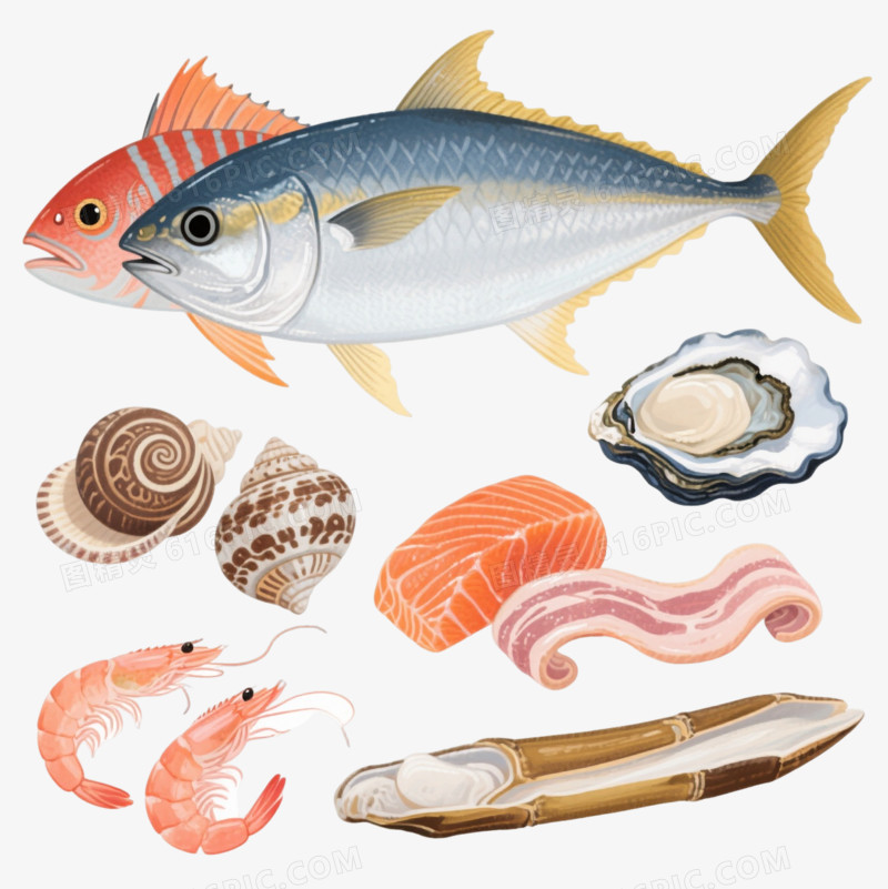 高饱和海鲜手绘插画元素