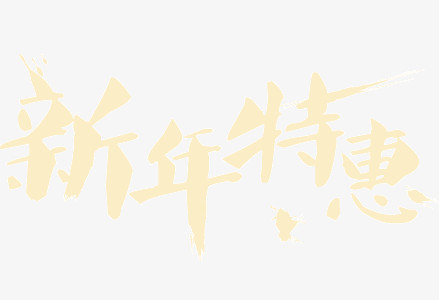 新年特惠