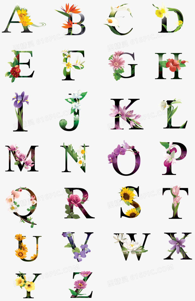 鲜花花纹字母合集