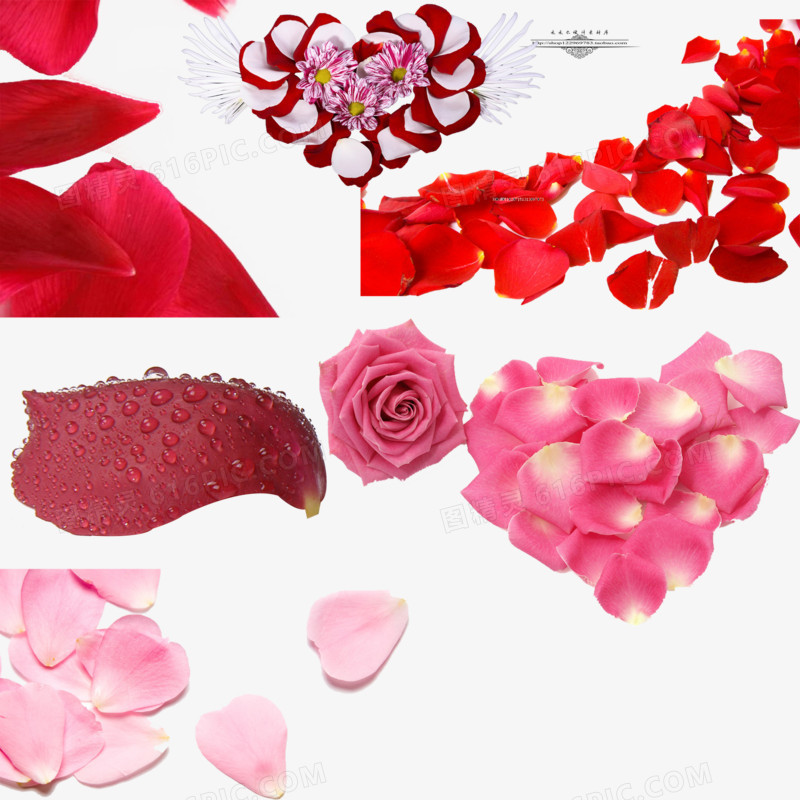 桃花花瓣    节日   鲜花   飘落装饰   粉红素材  婚纱照花瓣  玫瑰花花瓣
