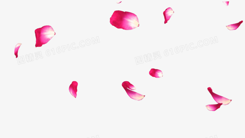 花瓣