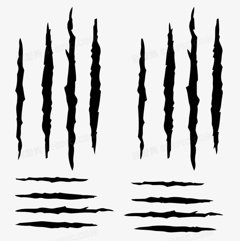 爪子