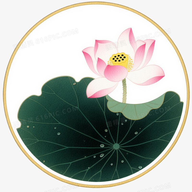 粉白莲花墨绿荷叶边框纹理
