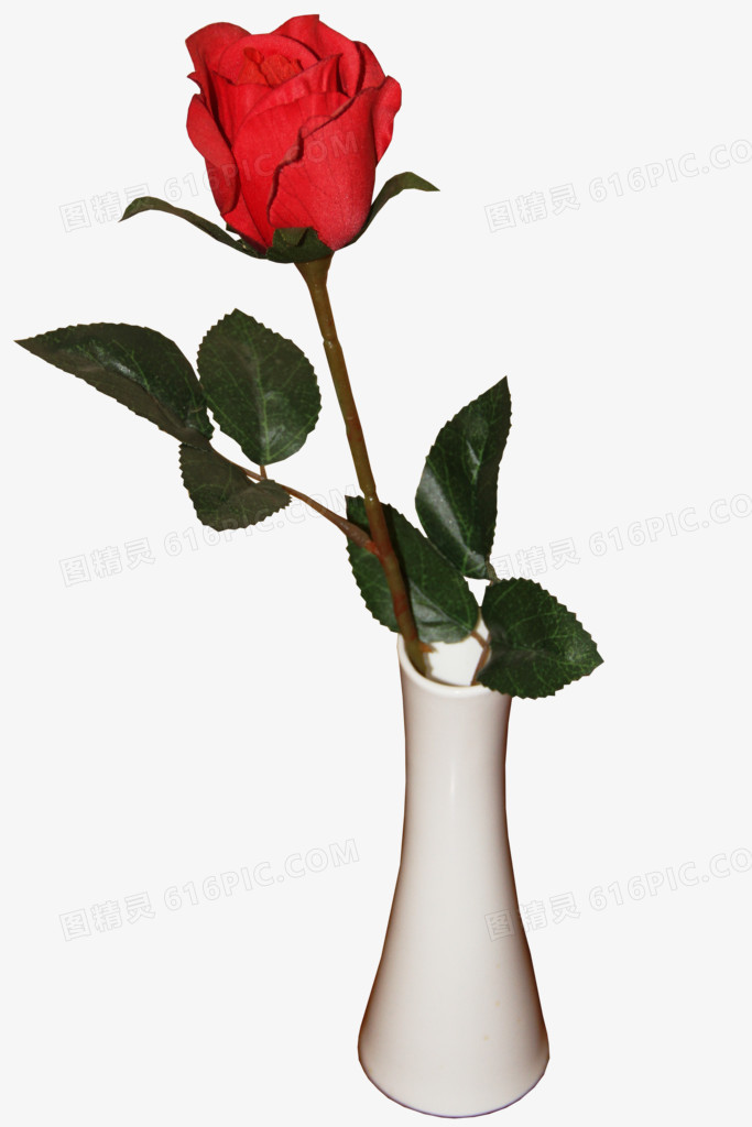 玫瑰与花瓶