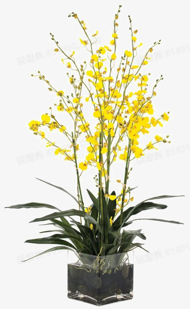 黄色装饰花卉花瓶软装摆设