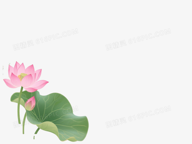 金色回纹荷花边框纹理