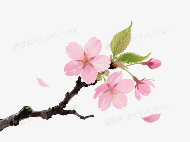 水墨樱花枝条装饰图案