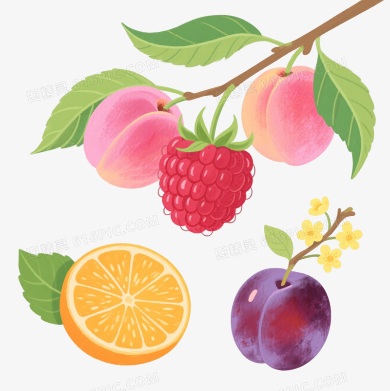 鲜果手绘插画元素