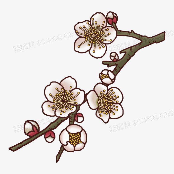 梅花