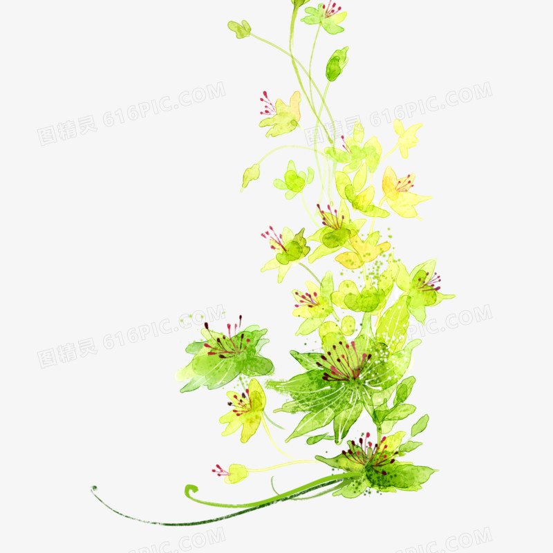 花藤
