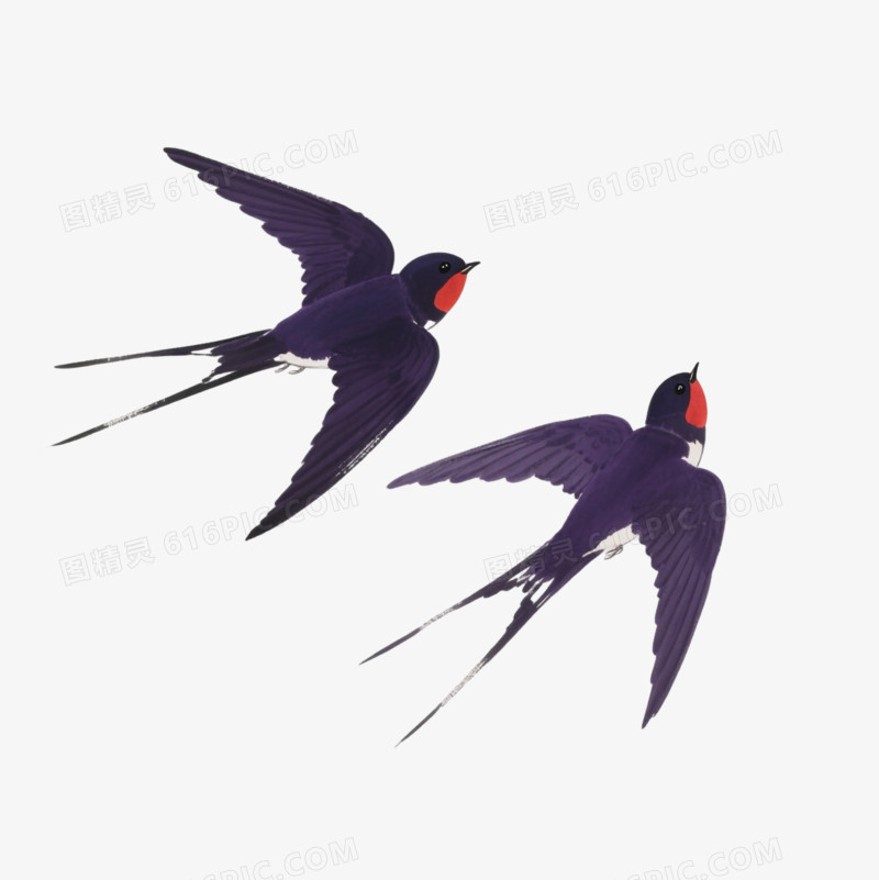 紫黑燕子水墨风格漂浮元素
