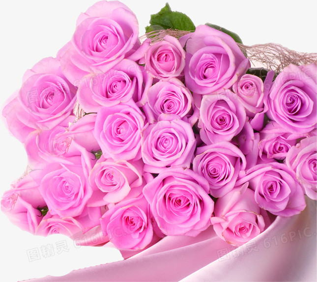 粉紫色玫瑰丝绸