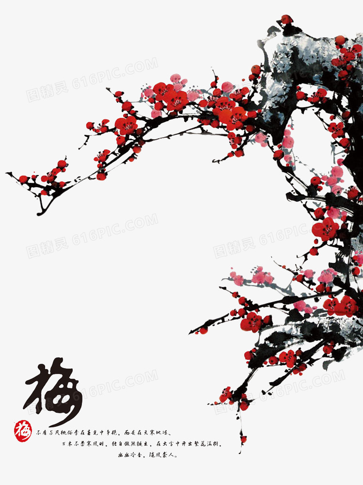 梅花