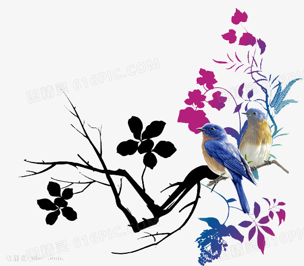 花鸟